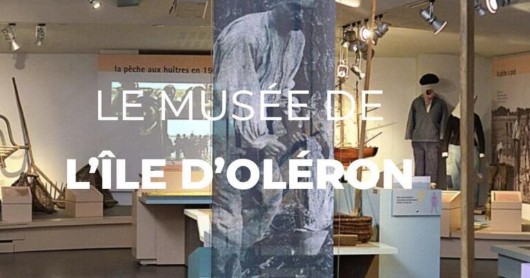 Musee de lile dOleron visite en ligne 2 768x403
