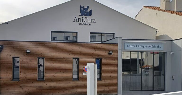 veterinaire saint roch la rochelle 768x403