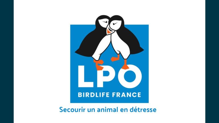 logo LPO 768x432