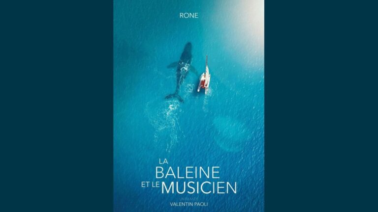 La Baleine et le musicien : ciné-documentaire à Meschers-sur-Gironde