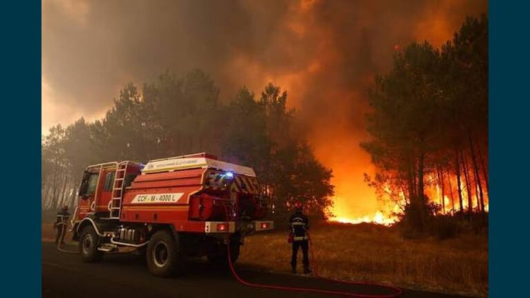 Incendies en Gironde et dans les Landes : appel aux dons du Secours populaire