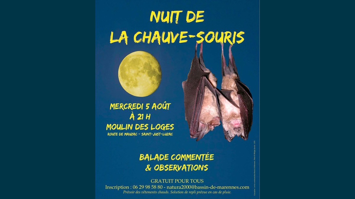 Nuit de la Chauve-Souris au Moulin des Loges
