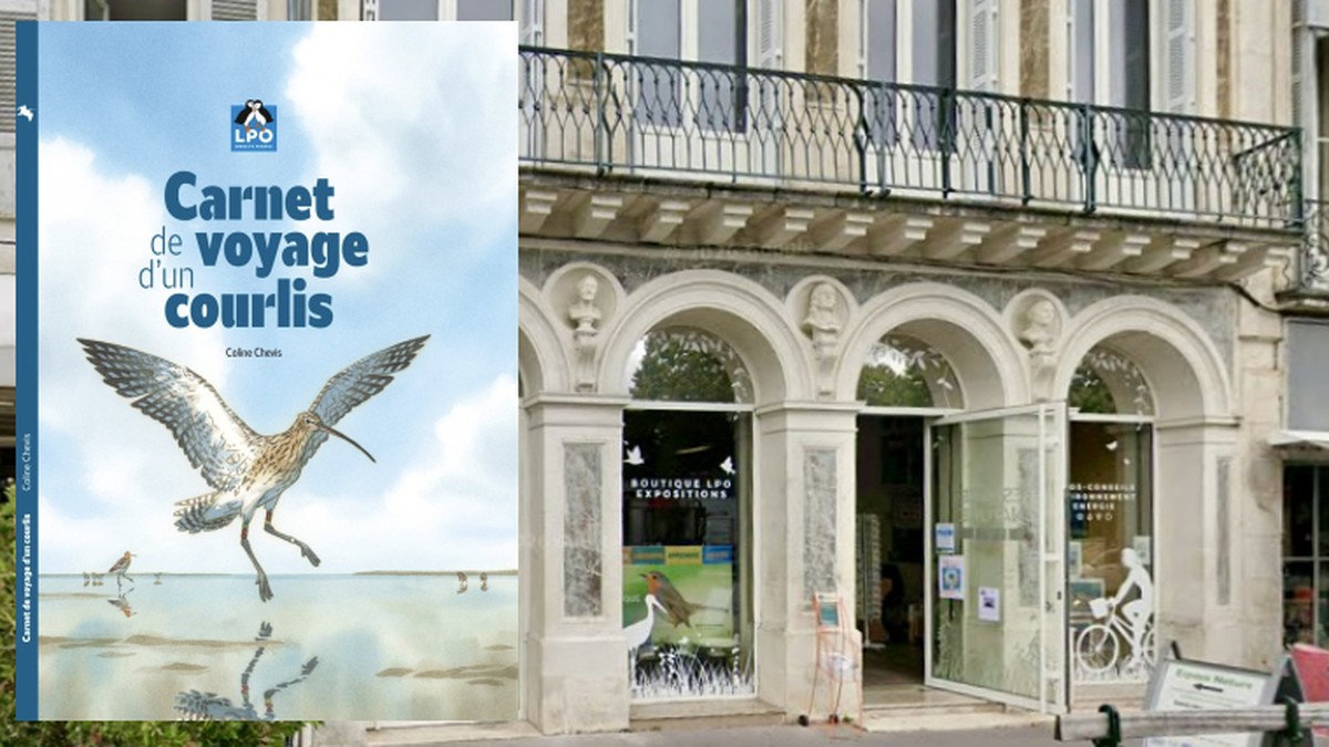 Rencontre & dédicace avec Coline Chevis à l'Espace Nature - Boutique LPO