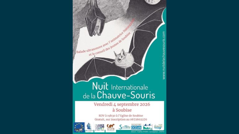 Nuit de la Chauve-Souris à Soubise : balade nocturne