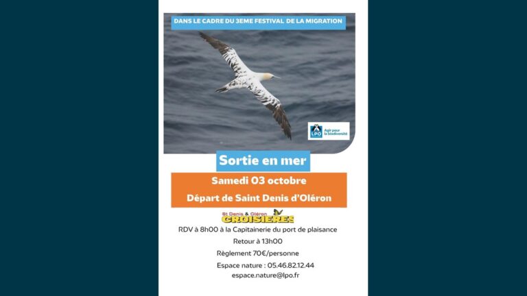 Sortie en mer avec la LPO : vivez le Festival de la Migration à Saint-Denis-d’Oléron
