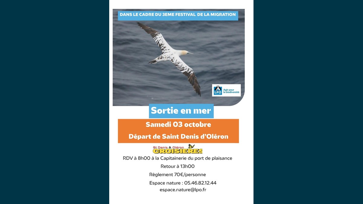 sortie-en-mer-lpo-site Sortie en mer avec la LPO : vivez le Festival de la Migration à Saint-Denis-d'Oléron